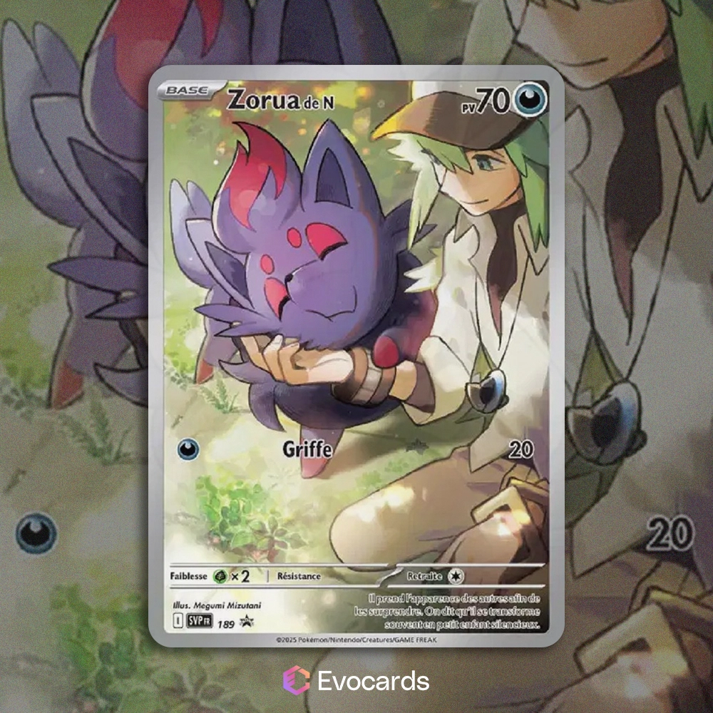 Carte Pokémon Zorua De N Promo SVP 189 Scellée